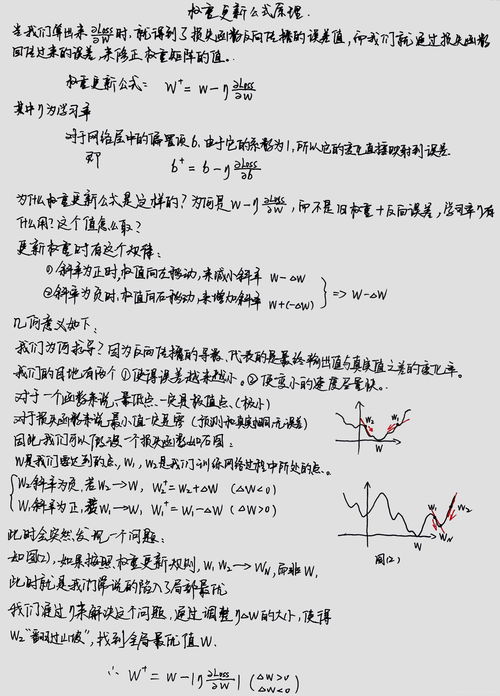 正则化的原理是什么,何为正则化?有何作用?