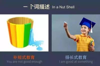 shell是什么意思中文,shell是什么意思呀