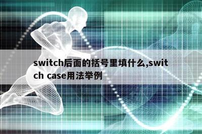 switch语句举例解释,switch语句的作用,功能,及含义