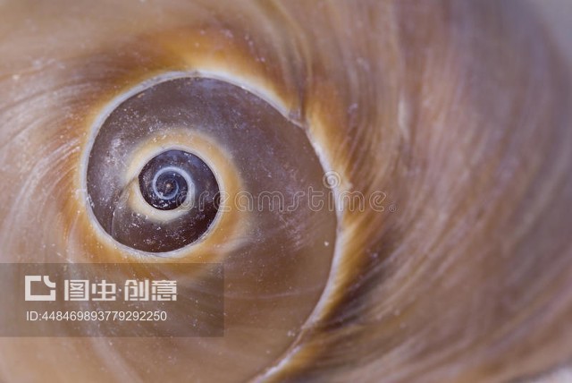 shell,shell编程