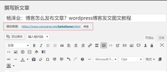 wordpress使用教程,wordpress windows怎么用