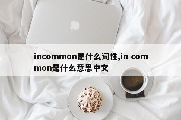 incommon是什么词性,in common是什么意思中文