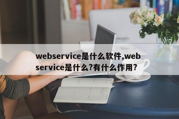 webservice是什么软件,web service是什么?有什么作用?