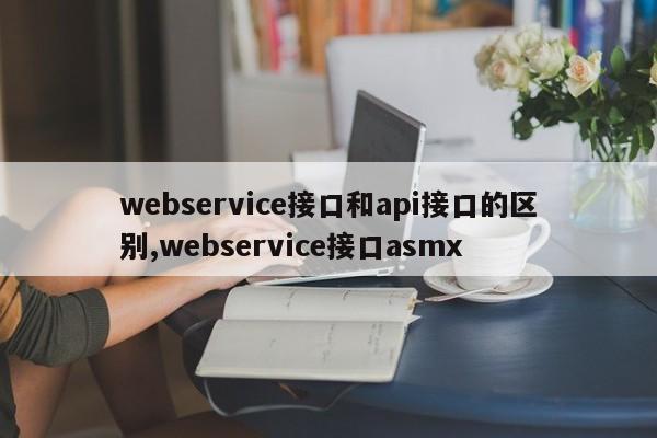 webservice接口和api接口的区别,webservice接口asmx