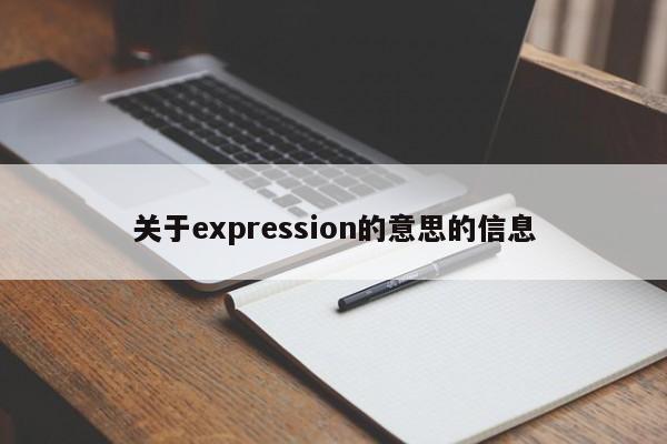 关于expression的意思的信息