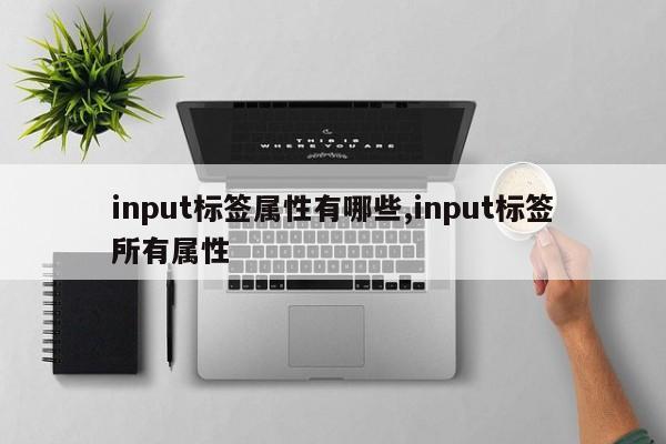 input标签属性有哪些,input标签所有属性